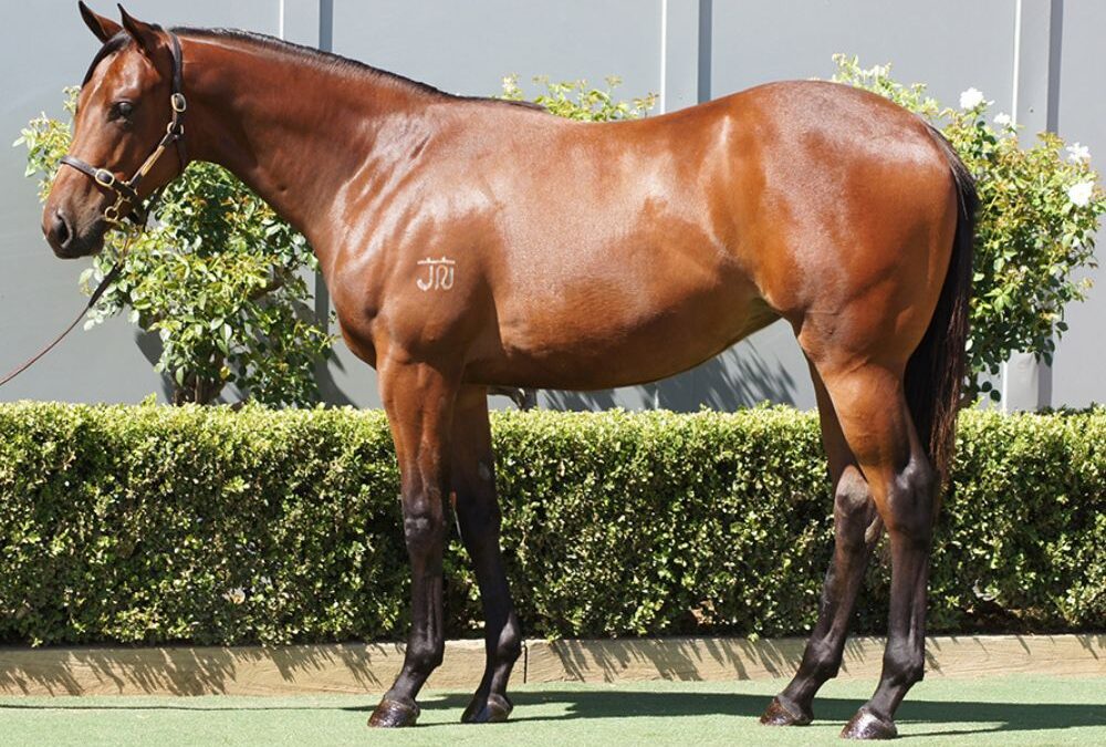 Lot 1370: Churchill x Scarlett Rouge filly