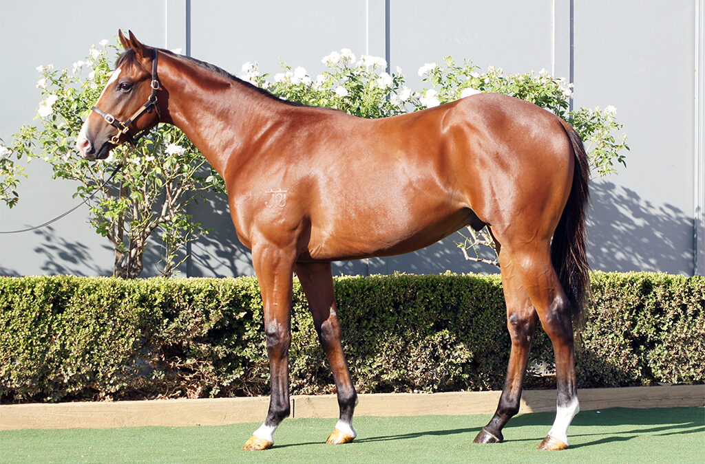 Lot 437: Justify x Full Of Beans colt