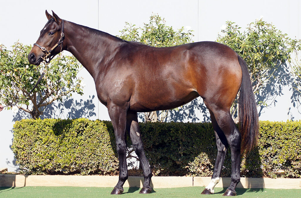 Lot 1300: Better Than Ready x Flitare filly