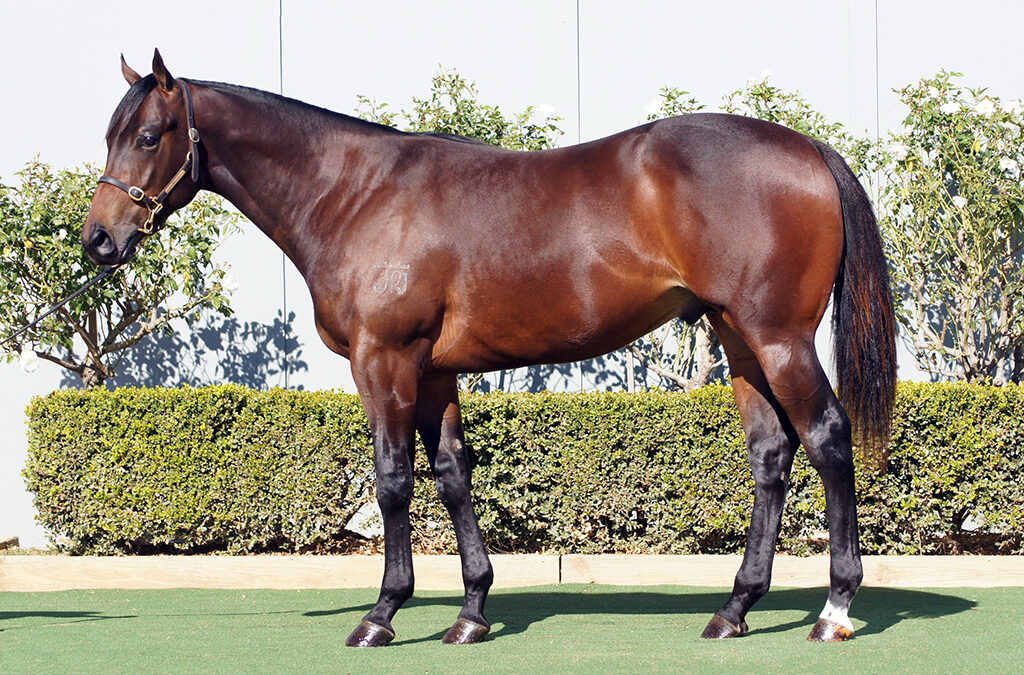 Lot 1436: D’Argento x Sarzana colt