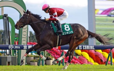 Aussie Mare Youngstar Produces Exciting Japanese G3 Winner