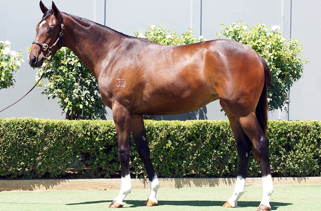 Lot 1180: Better Than Ready x Flirtare Filly