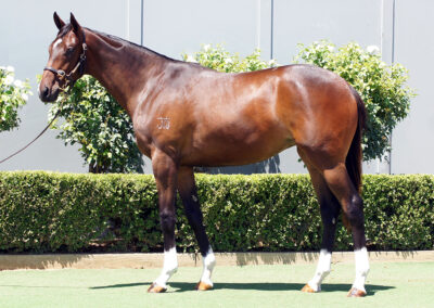 Lot 1180: Better Than Ready x Flirtare Filly