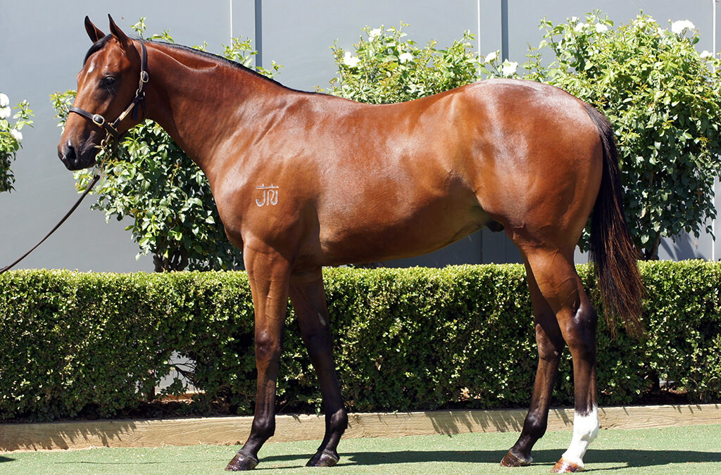 Lot 1190: D’Argento x Genie Colt