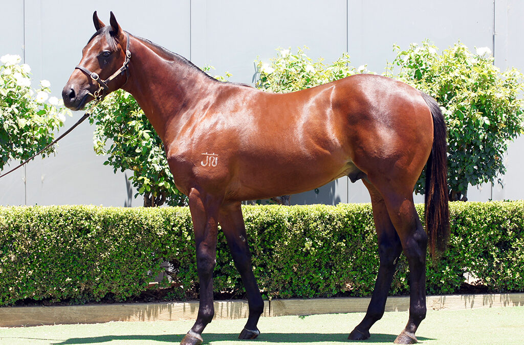 Lot 1395: Tiger Of Malay x Street Of Suemori Colt