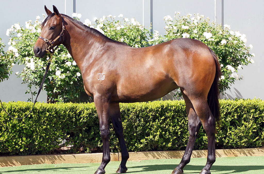 Lot 784: Hellbent x With A Bang Filly