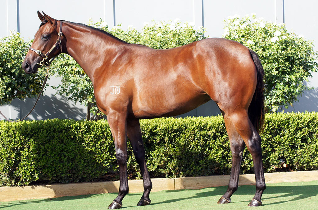 Lot 234: Harry Angel x Akiko filly