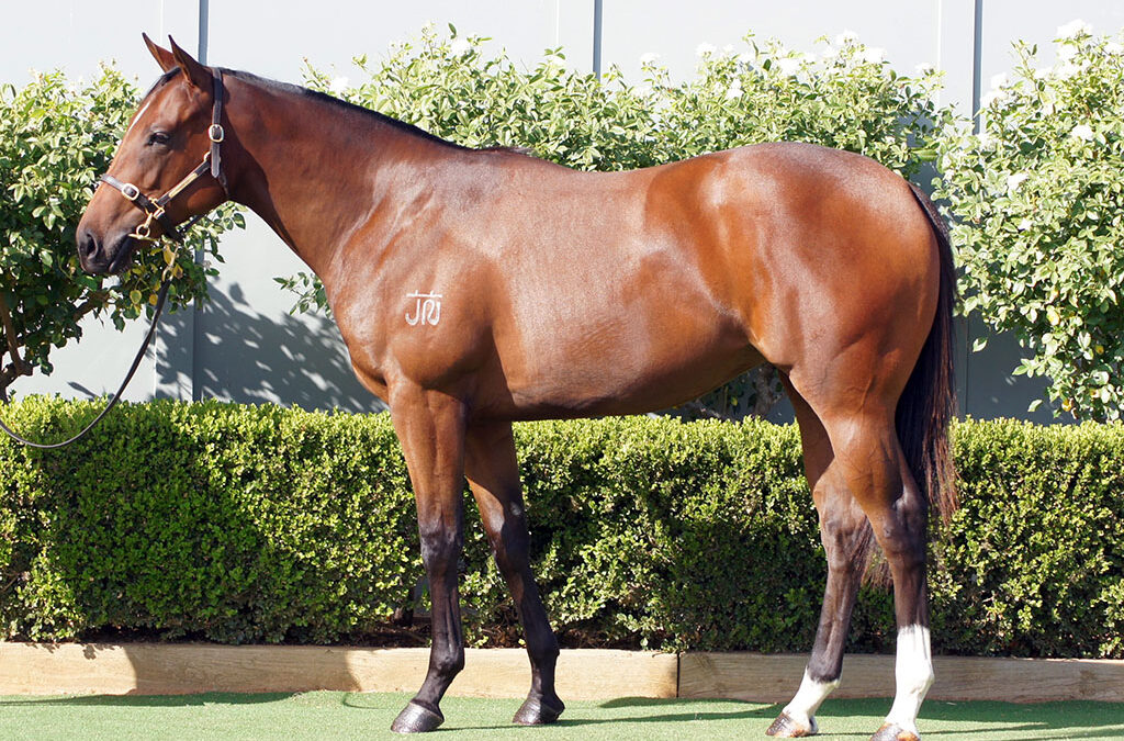 Lot 269: All Too Hard x Bird Of Dubai filly
