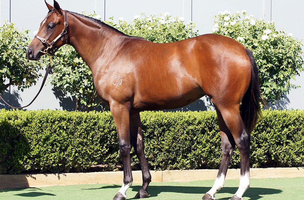 Lot 326: Zousain x Divine Nature filly