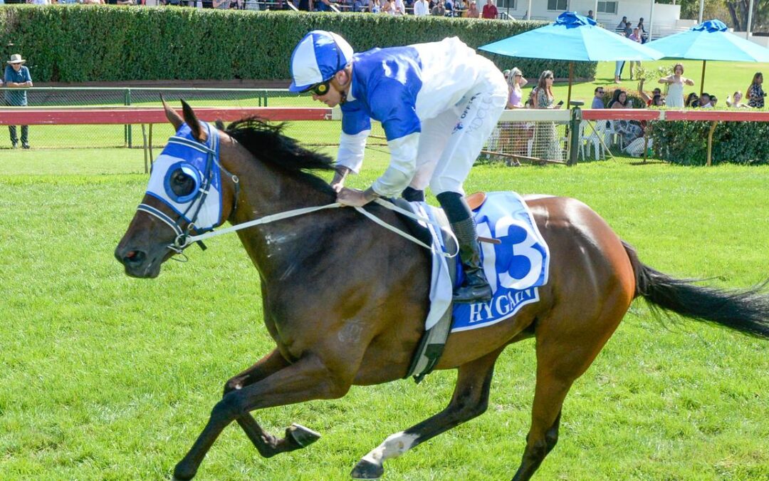 ‘Dream for all of us’: Trainers have faith in their Oaks filly