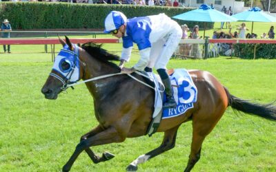 ‘Dream for all of us’: Trainers have faith in their Oaks filly