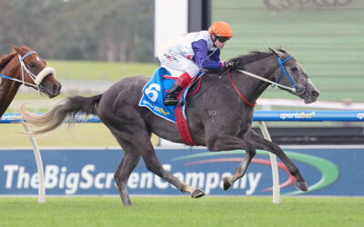 Figlio D’Argento Gives D’Argento Four Winners In Four Days