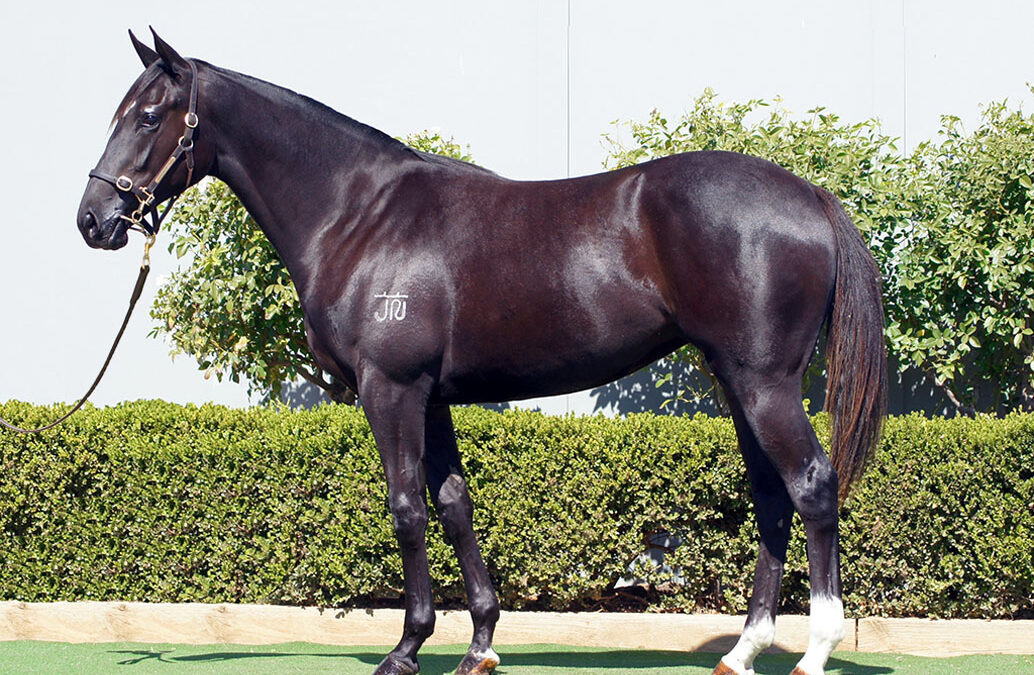 Lot 218: D’Argento x Gatsby’s Girl filly