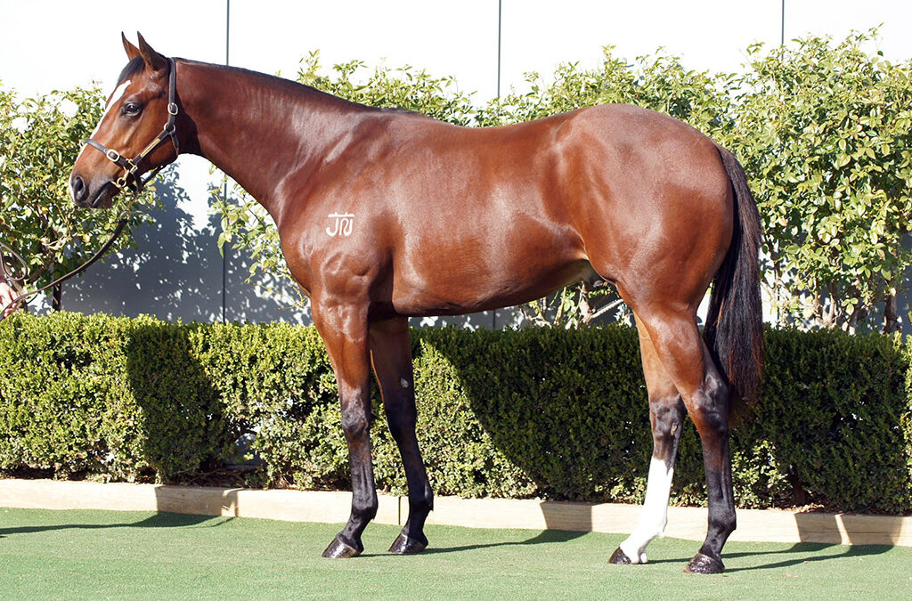 Miraculous Eagle Farm Victory for Profiteer 2YO