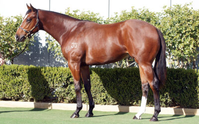 Miraculous Eagle Farm Victory for Profiteer 2YO