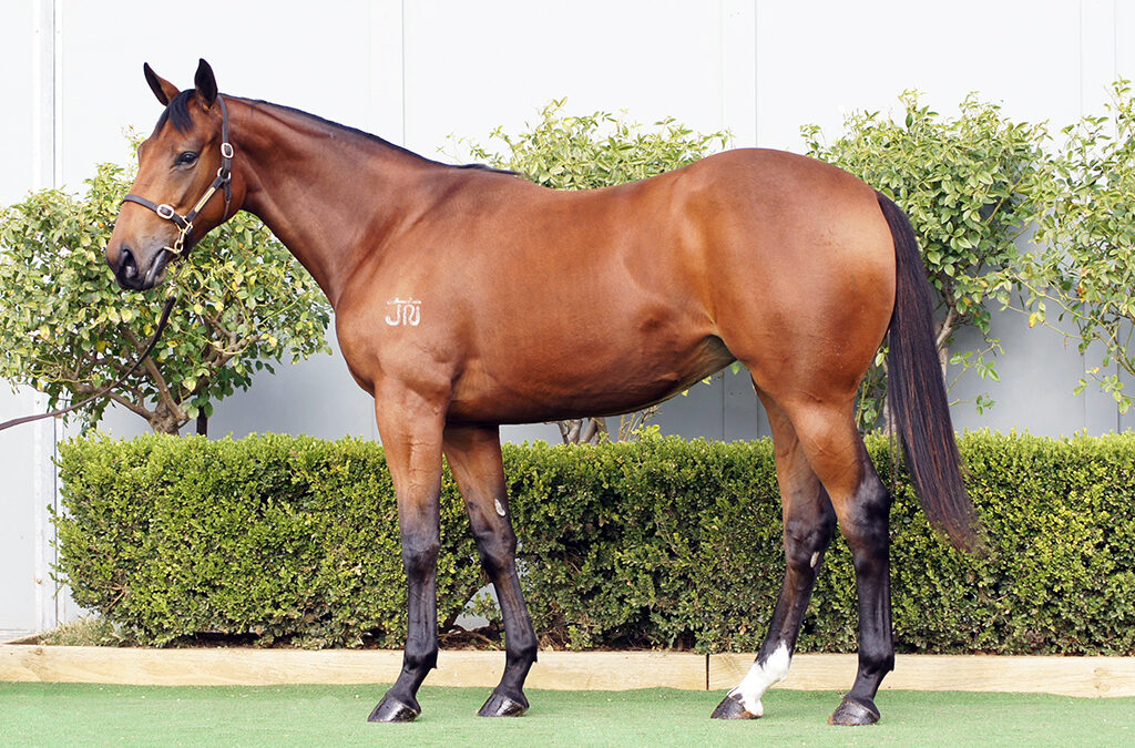 Lot 1191: North Pacific x Linden filly
