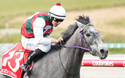 Statuario Ready For South Australian Derby Assault