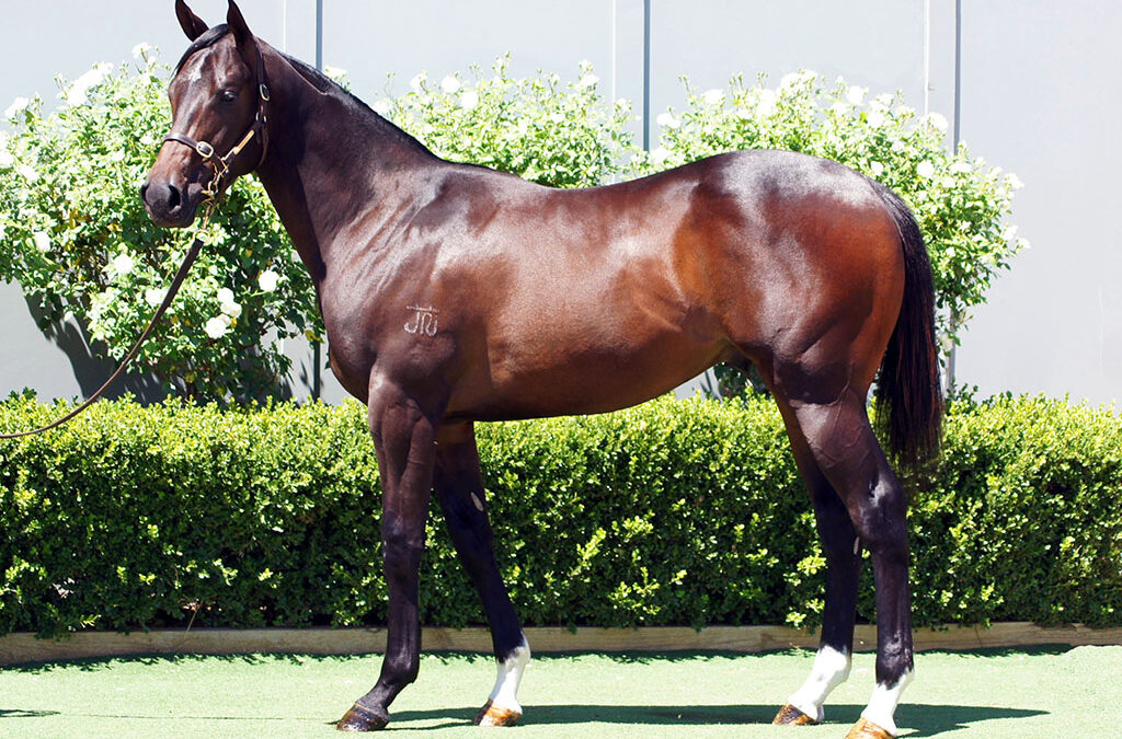 Lot 924: D’Argento x Trust Her colt