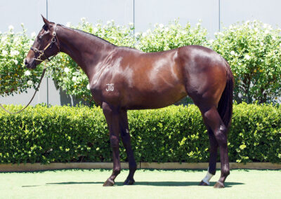 Lot 999: Best Of Bordeaux x Assertin Mischief filly