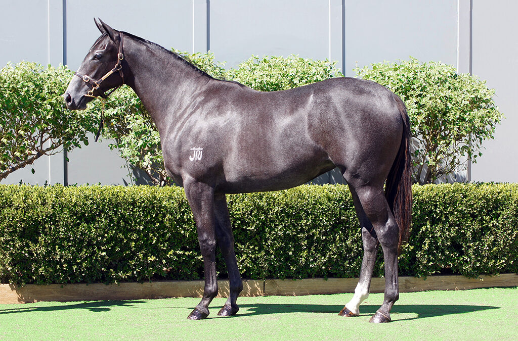 Lot 141: D’Argento x Lionel Left Me filly