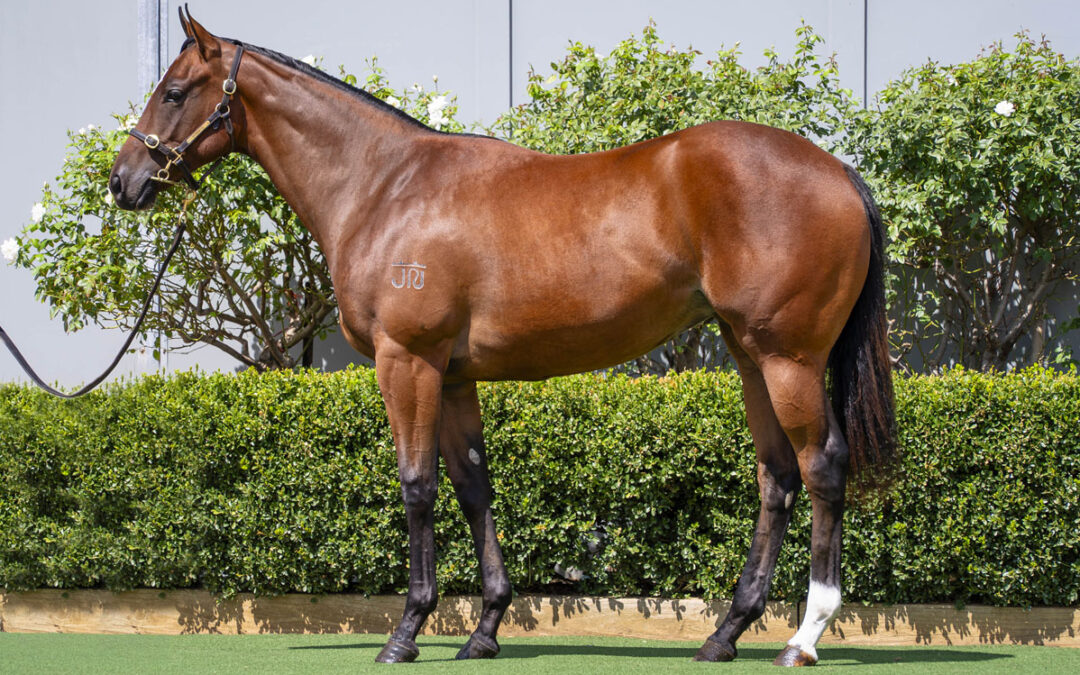 Lot 49: Best Of Bordeaux x Snow White filly