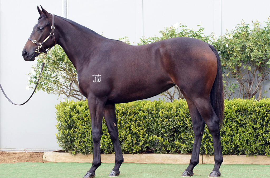 Lot 1228: D’Argento x Corsa Rosa filly