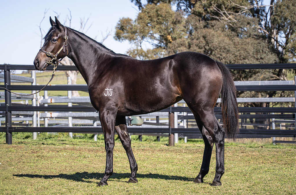 Lot 1240: Daumier x Girl You Want filly