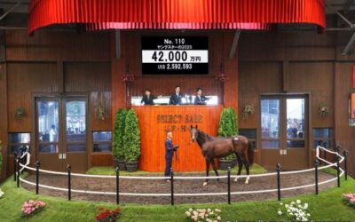 Japanese Sale Results Brings Further Attention On Bowness