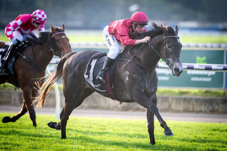 Stunning Belmont Oaks Victory For Ladies Pro – New SW D’Argento